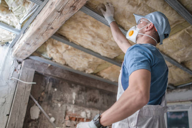 Best Insulation Installation Services in Gurnee, IL